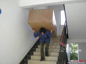 �Ϻ��ζ���ҹ�˾_�v��ʢ�_���ߵİ��w����